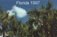 Florida 1997