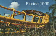 Florida 1999