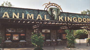 Animal Kingdom: Der Eingangsbereich