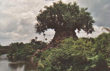 Animal Kingdom: Tree of Life