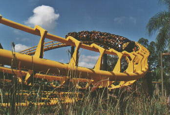 Busch Gardens in Tampa
