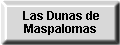 Las Dunas de Maspalomas