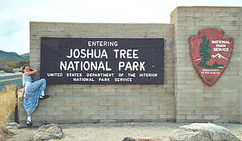 Joshua Tree Nationalpark