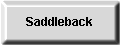 Saddleback