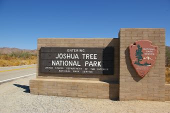 Joshua Tree Nationalpark