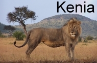 Kenia 2005