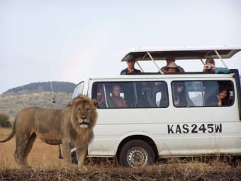 Safari-Tour