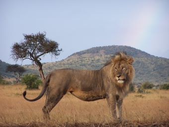 Tsavo Ost Nationalpark