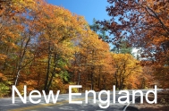 New England 2014