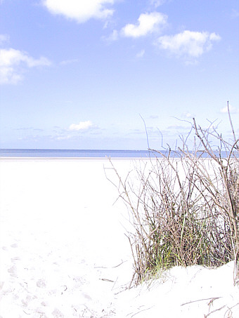 Langeoog