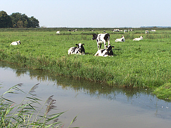 Ostfriesland
