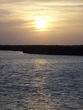 Birding Center
