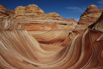 The Wave