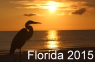 Florida 2015