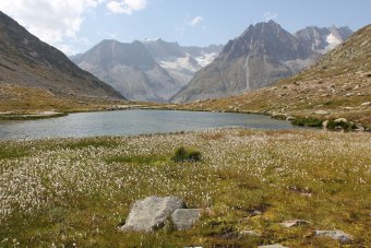 Beschreibung: D:\Daten\Internet\owineu\touren\aletsch\bild18.jpg
