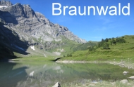 Braunwald
