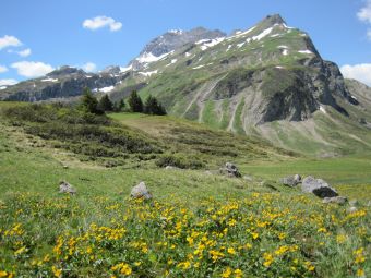 Beschreibung: D:\Daten\Internet\owineu\touren\koerbersee\bild11.jpg