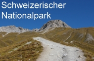 Schweizerischer Nationalpark
