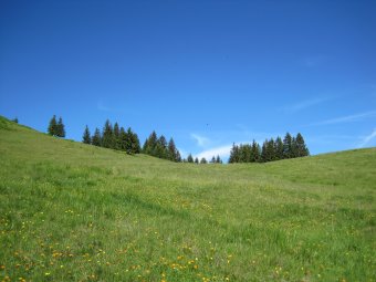 Beschreibung: D:\Daten\Internet\owineu\touren\rangiswangerhorn\bild06.jpg