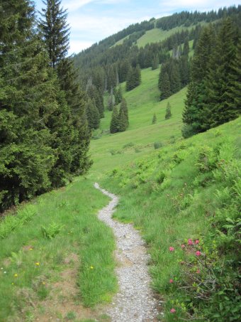 Beschreibung: D:\Daten\Internet\owineu\touren\rangiswangerhorn\bild18.jpg