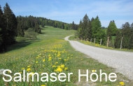 Salmaser H�he