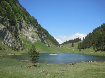 Beschreibung: D:\Daten\Internet\owineu\touren\talalpsee\bild03.jpg