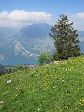 Beschreibung: D:\Daten\Internet\owineu\touren\talalpsee\bild09.jpg